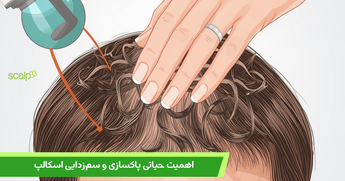 اهمیت حیاتی پاکسازی و سم‌زدایی اسکالپ